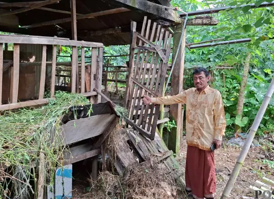 Tukiran, warga Depok, menunjukan kandang tempat kambing yang dicuri dan disisakan isi jeroannya, Senin, 12 Mei 2025. (Sumber: Poskota/Angga Pahlevi)
