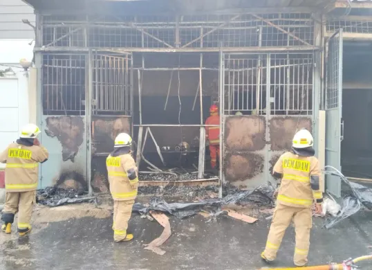 Pemadam kebakaran berupaya memadamkan api yang melalap satu ruko di kawasan Jelambar, Grogol Petamburan, Jakarta Barat, Selasa 13 Mei 2025. (Sumber: Dok. Warga)