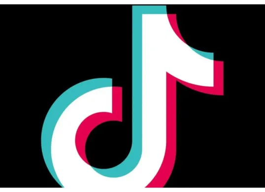 Simpan video TikTok dengan durasi panjang ke galeri handphone . (Sumber: Pinterest/TikTok)