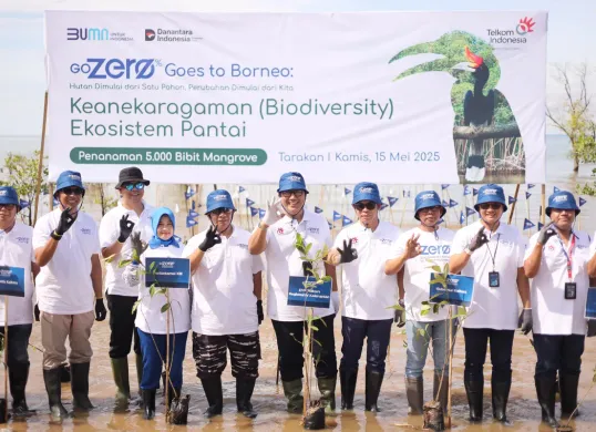 Penanaman 5.000 bibit mangrove pada acara GoZero% Goes to Borneo di Tarakan, Kalimantan Utara.