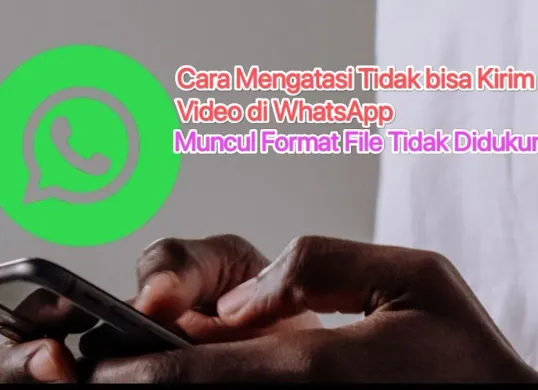Cara mengatasi tidak bisa kirim video di aplikasi WhatsApp. (Canva)