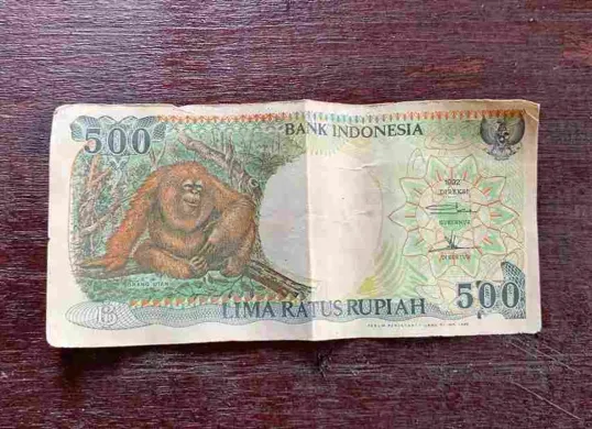 Ilustrasi uang kuno bergambar hewan. (Sumber: E-commerce)