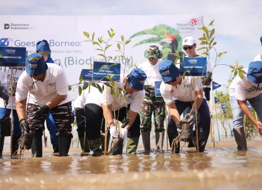 PT Telkom Indonesia (Persero) Tbk melakukan penanaman mangrove dalam kegiatan “GoZero% Goes to Borneo” di Pantai Batu Perawan, Tarakan, Kalimantan Utara. (Sumber: PT Telkom Indonesia (Persero) Tbk)