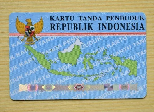 Cek NIK KTP Terdaftar di Pinjol: Waspada Penyalahgunaan Data Pribadi. (Sumber: Pinterest)