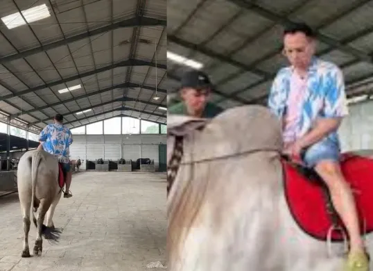 Raffi Ahmad saat mengunjungi peternakan milik Irfan Hakim, memilih sapi kurban jelang Iduladha 2025. (Sumber: TikTok/@nizarr027)