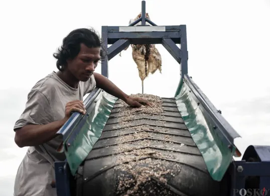 Daur Ulang Limbah Cangkang Kerang Hijau