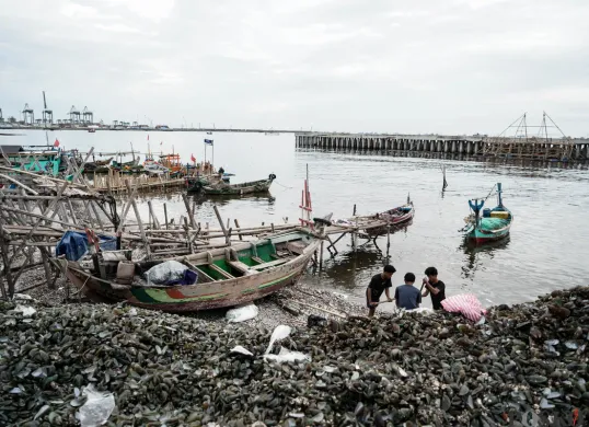 Sampah Cangkang Kerang Hijau Menggunung