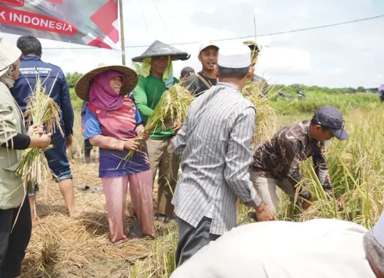 Kementerian Pertanian memperkuat kelembagaan petani dengan mengembangkan model korporasi. (Sumber: Kementan)