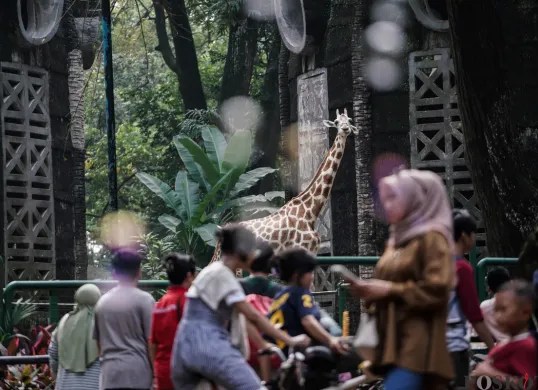 Pengunjung saat berlibur ke Taman Margasatwa Ragunan, Jakarta Selatan. (Sumber: Poskota/Bilal Nugraha Ginanjar)
