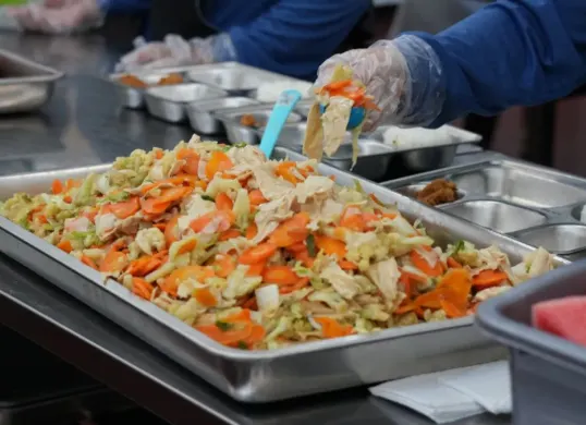 Ilustrasi, ompreng food tray. (Sumber: bgn.go.id)