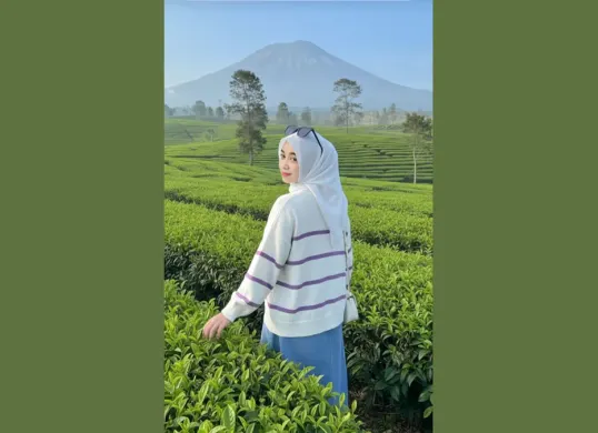 Prompt Gemini AI Edit Foto di Perkebunan Teh (Sumber: TikTok/@oktaaa_vy)