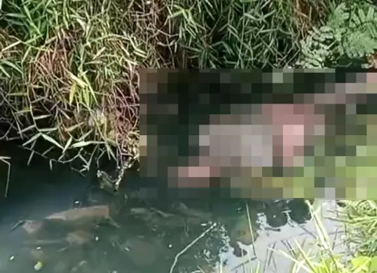 Penampakan mayat perempuan yang mengapung di aliran Kali Balong Jaer, Desa Sukabudi, Kecamatan Sukawangi, Kabupaten Bekasi. (Sumber: Istimewa)