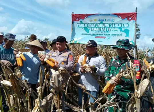 Jajaran Polres Serang dan kelompok tani binaan saat panen raya jagung di Desa Cemplang, Kecamatan Jawilan, Kabupaten Serang, Jumat, 7 November 2025. (Sumber: Poskota/Rahmat Haryono)
