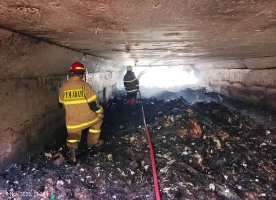 Petugas Damkar Kota Depok UPT Cinere  memadamkan api yang membakar tumpukan sampah di bawah kolong jembatan Krukut Depok. (Sumber: Istimewa)