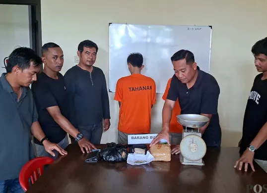 Tim Opsnal Polsek Tajurhalang menunjukkan barang bukti ganja yang peredarannya diduga dikendalikan seorang penghuni Lapas di Cirebon. (Sumber: POSKOTA | Foto: Angga Pahlevi)