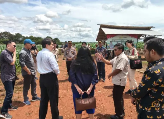 Delegasi dari Tiongkok saat meninjau perkebunan jagung program ketahanan pangan binaan Kapolres Serang di Desa Kopo. (Sumber: Dok. Polsek Kopo)