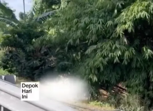 Penemuan jasad pria di Kali Cisalak Depok dalam kondisi telanjang (Sumber: Instagram @depokhariini dan depok24jam)