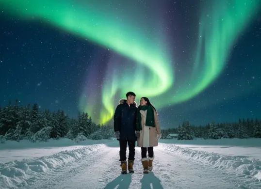 Hasil prompt Gemini AI pasangan yang menyaksikan aurora di malam musim dingin. (Sumber: Freepik)