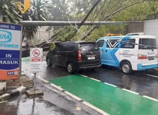 Pohon tumbang di Cipinang Cempedak, Jatinegara, Jakarta Timur, Kamis, 20 November 2025. (Sumber: Istimewa)