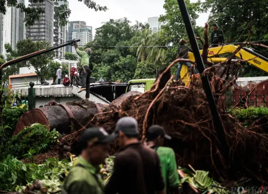 Petugas membersihkan sisa-sisa dari pohon tumbang di atas area transisi antara Stasiun MRT ASEAN dengan Stasiun MRT Mastercard di Jalan Sisingamangaraja, Jakarta Selatan, Kamis, 20 November 2025. (Sumber: POSKOTA | Foto: Bilal Nugraha Ginanjar)