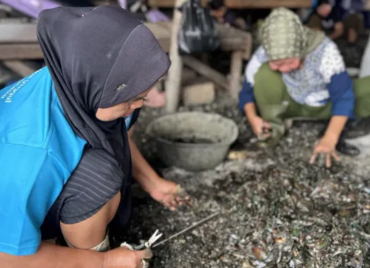 Aktivitas pengupasan kulit kerang di RW 22 Kelurahan Muara Angke, Kecamatan Penjaringan, Jakarta Utara, Sabtu, 22 November 2025. (Sumber: POSKOTA | Foto: Pandi Ramedhan)