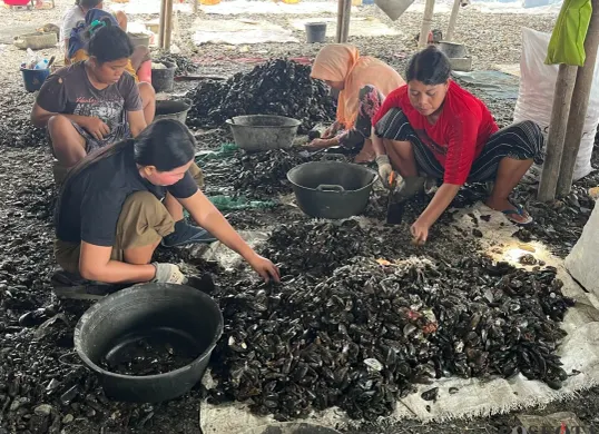Aktivitas pengupasan kulit kerang di RW 22 Kelurahan Muara Angke Kecamatan Penjaringan, Jakarta Utara, Sabtu, 22 November 2025. (Sumber: Poskota/Pandi Ramedhan)