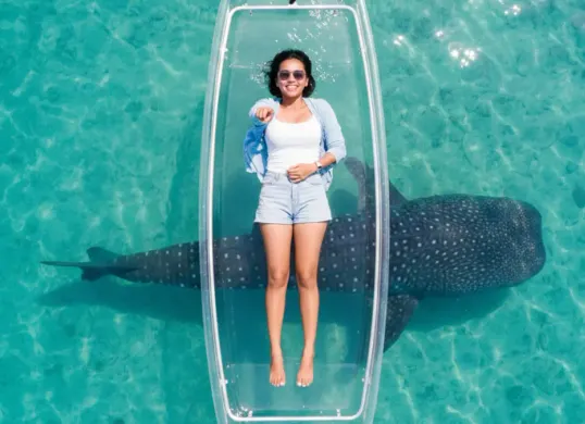 Wisata Hiu Paus Gorontalo Makin Mendunia: Begini Prompt Gemini AI yang Bikin Foto Terlihat Profesional (Sumber: Gemini AI)