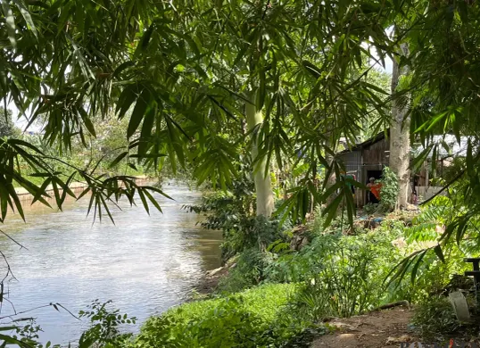 Situasi bantaran Kali Ciliwung, Pengadegan, Jakarta Selatan, Senin, 24 November 2025. (Sumber: Poskota/M. Tegar Jihad)