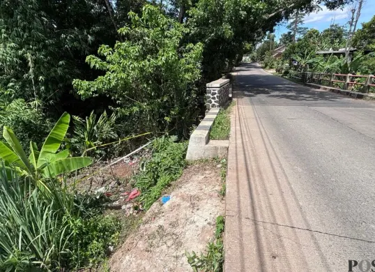 Lokasi penemuan kerangka Alvaro di Jalan Raya Tenjo-Jasinga, Kampung Cikadu Blokmede, Desa Singabraja, Kecamatan Tenjo, Kabupaten Bogor, Senin, 24 November 2025. (Sumber: Poskota/Giffar Rivana)