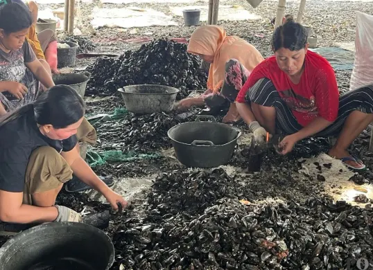 Aktivitas warga mengupas kerang hijau di RW 22 Kelurahan Muara Angke, Penjaringan, Jakarta Utara. (Sumber: Poskota/Pandi Ramedhan)