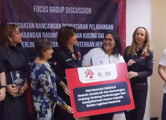 Koalisi DMFI dan CLDS FH UI menyerahkan Naskah Akademik dan usulan Bab Pelarangan Perdagangan Daging Anjing dan Kucing kepada Baleg DPR RI. (Sumber: Dok. Istimewa)