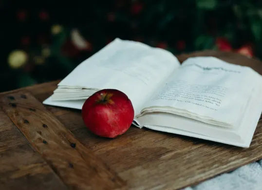 Ilustrasi buku cerita dongeng (Sumber: Unspash/Liana Mikah)