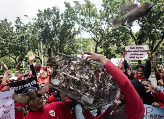 Aksi Pedagang Pasar Hewan Barito di Balaikota