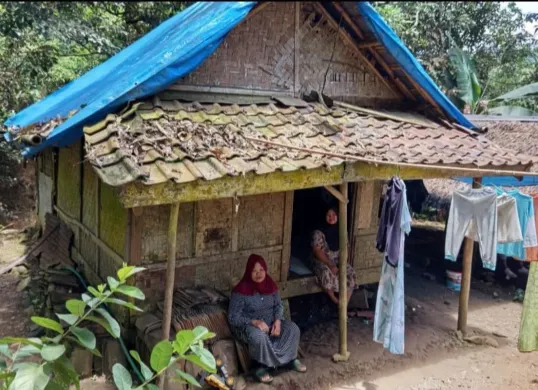 Kondisi bangunan rumah milik Jasminah warga Desa Citaman, Kecamatan Jiput, Kabupaten Pandeglang. (Sumber: Dok. Warga)