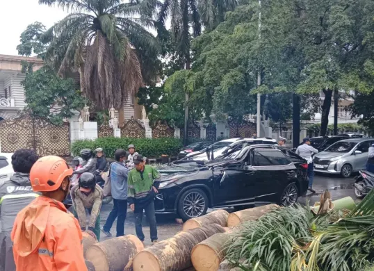 Situasi di TKP pohon tumbang yang menimpa mobil Lexus di kawasan Pondok Indah, Jakarta Selatan, pada Minggu siang, 26 Oktober 2025. (Sumber: BPBD Jakarta)