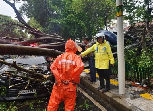 Pohon besar tumbang di Dharmawangsa Jakarta Selatan (Sumber: X/@TMCPoldaMetro)