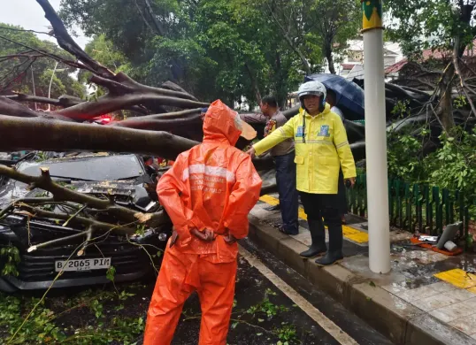 Ilustrasi, insiden pohon tumbang timpa mobil di Dharmawangsa, Jakarta Selatan, Kamis, 30 Oktober 2025. (Sumber: X/@TMCPoldaMetro)