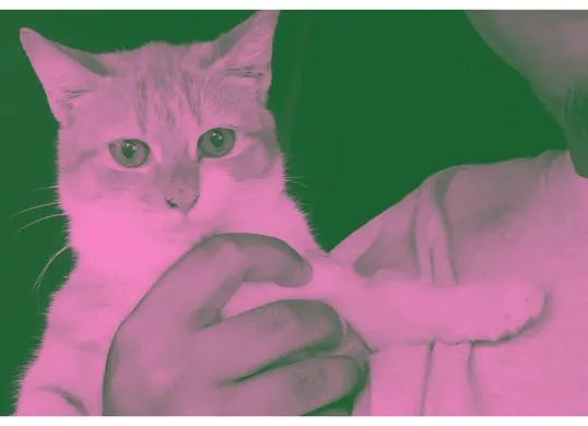 Cara ganti foto profil pakai Brave Pink Hero Green yang viral di media sosial. (Sumber: X/@tahu_gulin666)