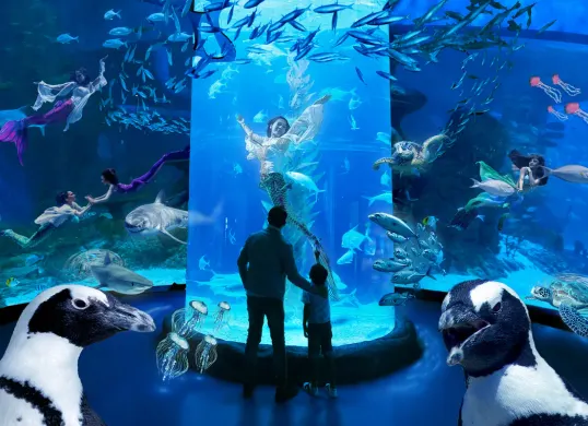 Jakarta Aquarium salah satu tempat wisata akuarium terbaik di Jakarta. (Sumber: Tiket.com)