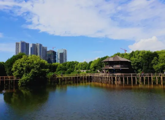 Hutan Mangrove PIK, destinasi ekowisata yang menjaga keseimbangan ekosistem pesisir Jakarta. (Sumber: Pinterest/@Selika)