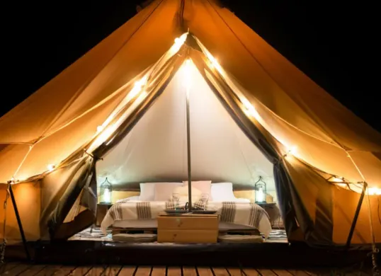 Ilustrasi rekomendasi tempat glamping di Bogor. (Sumber: Freepik/frimufilms)