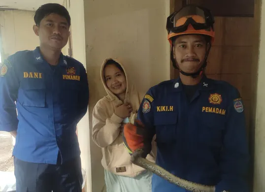 Petugas Damkar Kota Depok berhasil mengevakuasi menangkap seekor ular yang masuk ke rumah warga. (Sumber: Damkar Depok)