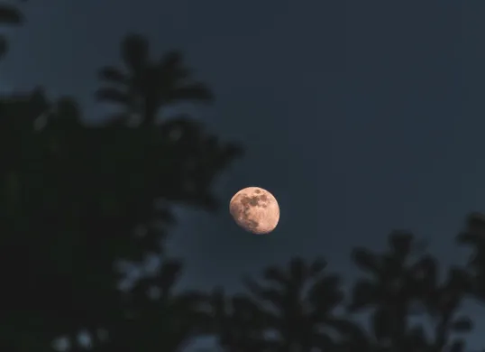 Ilustrasi. Fenomena Gerhana Bulan Total atau yang populer disebut Blood Moon akan menghiasi langit Indonesia pada 7 hingga 8 September 2025. (Sumber: Freepik/wirestock)
