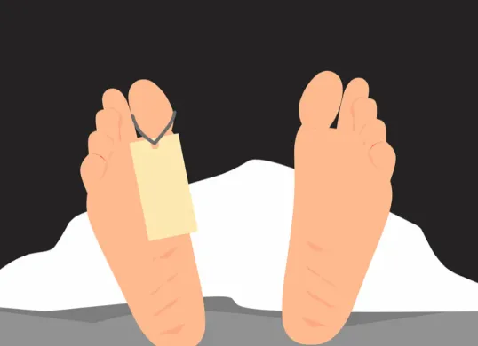 Ilustrasi mahasiswa Indonesia meninggal dunia di Wina, Austria usai fasilitasi kunjungan pejabat publik. (Sumber: Pixabay/Mohamed_hassan)