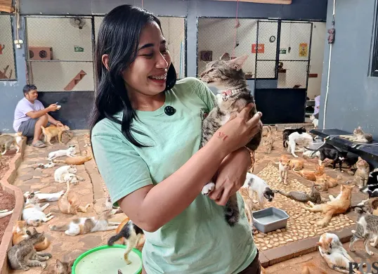 Relawan Rumah Singgah Kucing Jalanan Bekasi merawat ratusan ekor kucing jalanan, termasuk yang dievakuasi dari lokasi kerusuhan di Jakarta pada akhir Agustus 2025. (Sumber: POSKOTA | Foto: Nurpini Aulia Rapika)