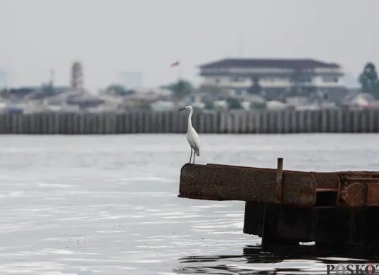Warga di dekat pesisir Jakarta Utara diimbau berhati-hati dengan banjir rob. (Sumber: Poskota/Bilal Nugraha Ginanjar)
