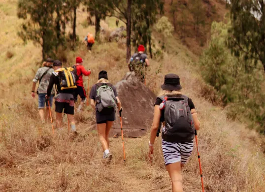Ilustrasi trekking di Bogor. (Sumber: Freepik/alexeyzhilkin)