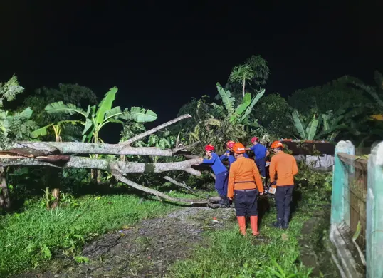 Petugas BPBD meninjau rumah rusak akibat hujan dan angin kencang di Desa Cinangka, Kecamatan Ciampea, Kabupaten Bogor. (Sumber: BPBD Kabupaten Bogor)