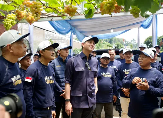 Mensos Gus Ipul dan Ketum Karang Taruna meninjau lapak bibir buah anggur dan alpukat di Sukahati, Cibinong, Kabupaten Bogor. (Sumber: Istimewa)