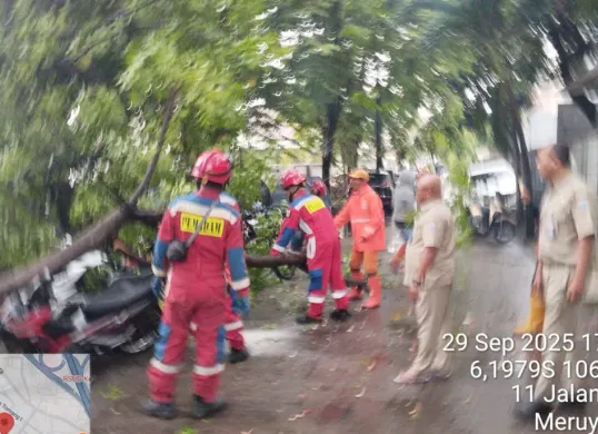 Pohon tumbang menimpa sejumlah kendaraan roda dua di kawasan Meruya Utara, Kembangan, Jakarta Barat, pada Senin, 29 September 2025. (Sumber: Istimewa)